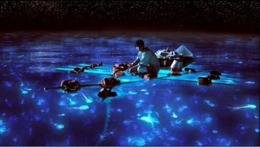 Pi takes in bioluminescent sea