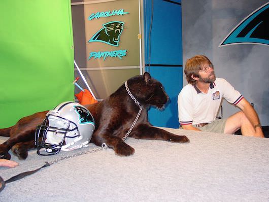 Meeks with the Carolina Panther's panther
