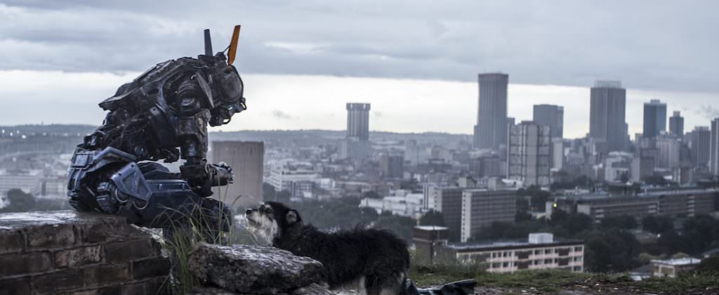 Chappie-and-dog.jpg