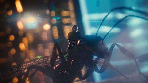 Come on, admit it. Ant-Man's adorable. Courtesy Marvel Studios.