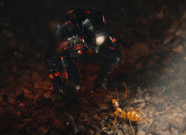 Shooting down on Paul Rudd allowed the filmmakers to keep Ant-Man in the proper proportion to his surroundings. Photo Credit: Film Frame  © Marvel 2015