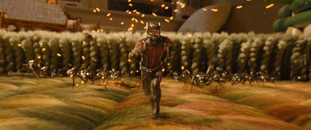 AntMan55a6c87adb077.jpg