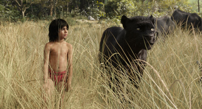 The-Jungle-Book1.jpg