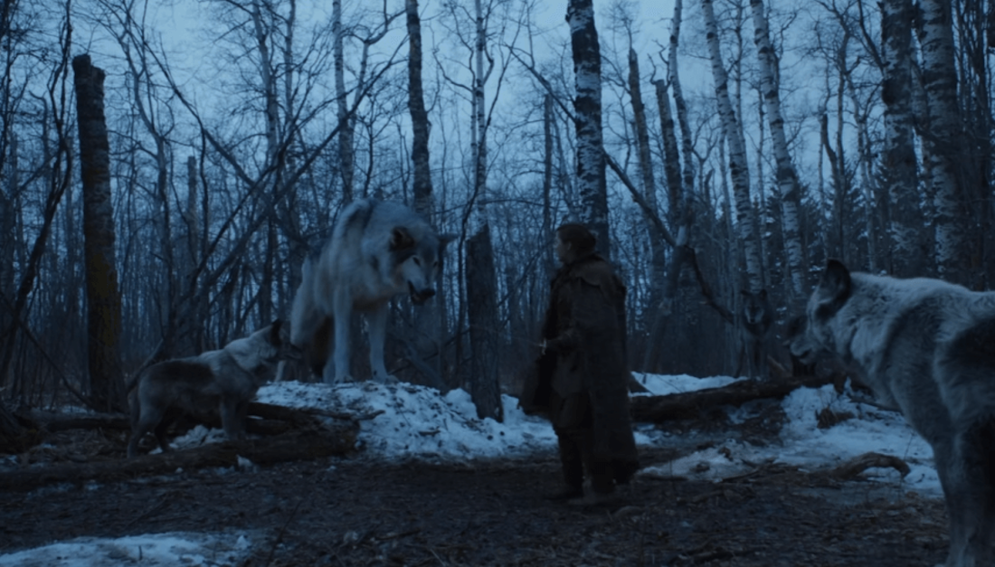 What Does Arya's Reunion With her Direwolf Nymeria Mean for Game of Thrones  | The Credits