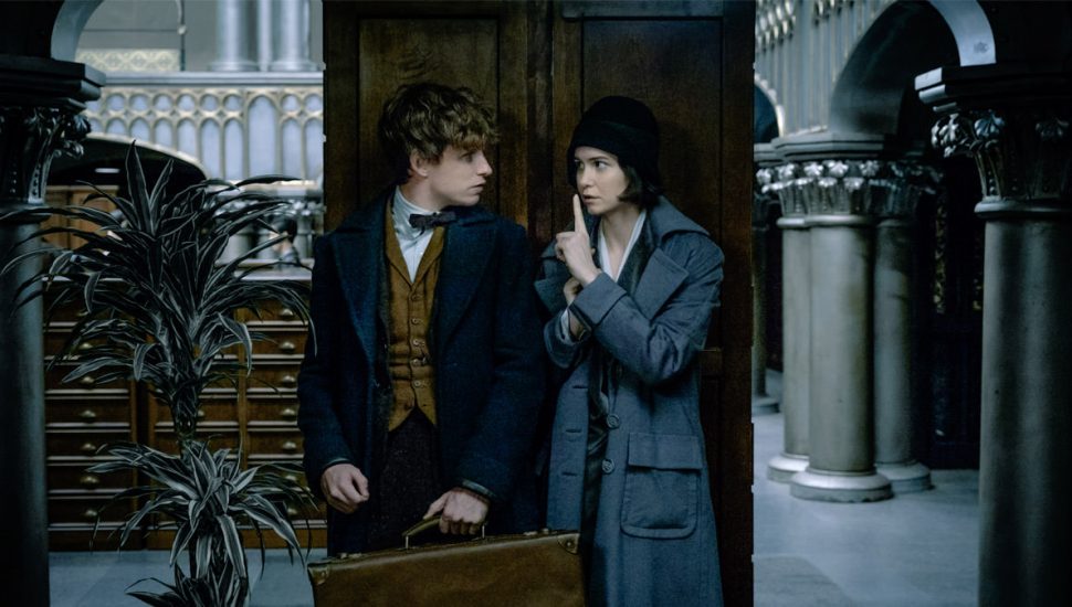fantastic beasts    find    started filming  credits