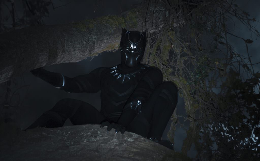 BlackPanther596d2f1b1baf0.jpg