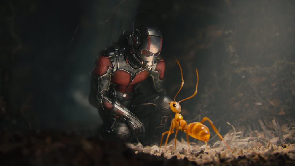 Ant-Man.jpg