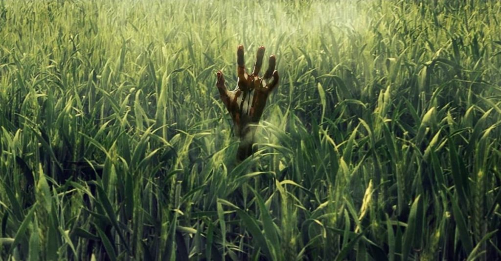 'In The Tall Grass.' Courtesy Netflix.