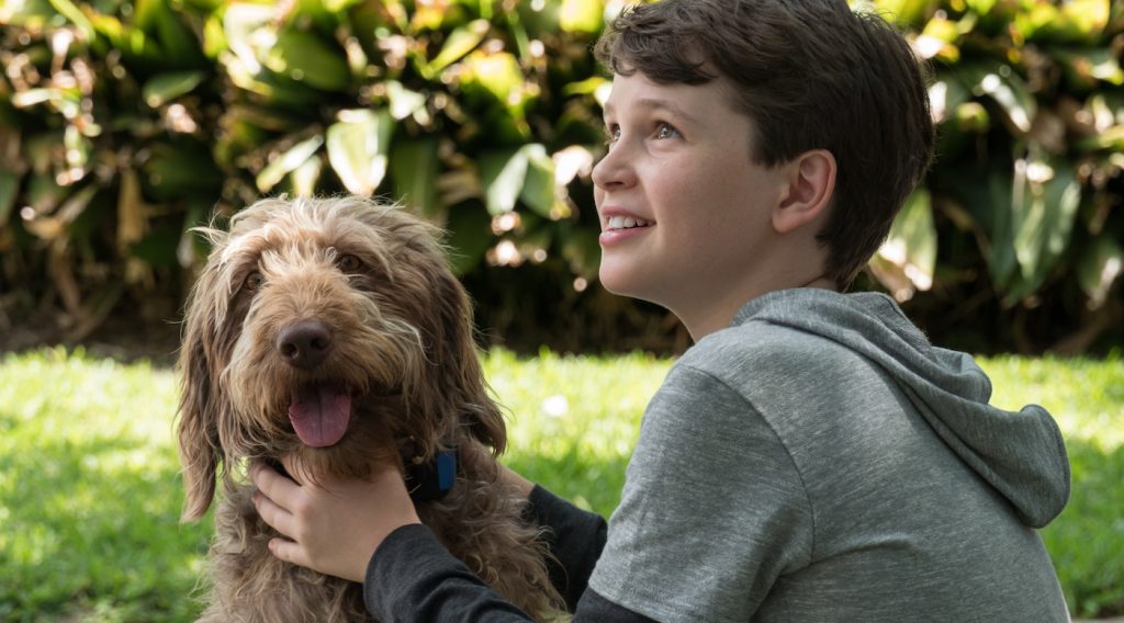 Gabriel Bateman in 'Think Like A Dog.' Courtesy Lionsgate.