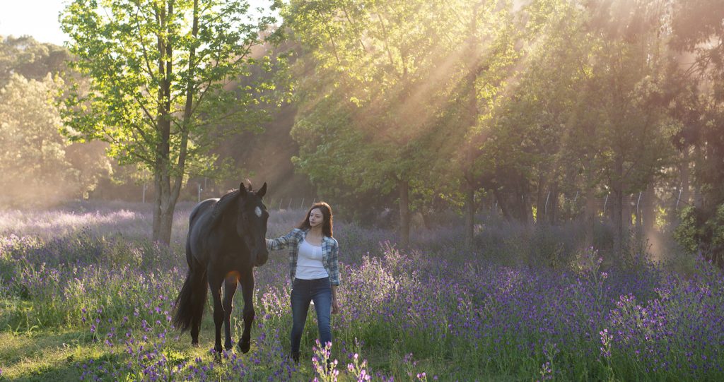 Mackenzie Foy in 'Black Beauty.' Photo: Disney/Graham Bartholomew.