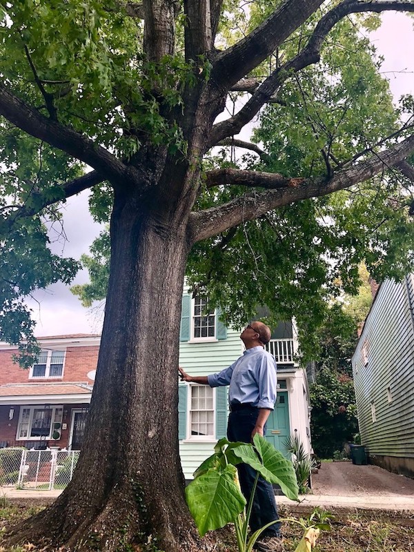 Jeffery Robinson at the “Hanging Tree” on Ashley Avenue in Charleston, South Carolina. Photo by Jesse Wakeman. Courtesy of Sony Pictures Classics