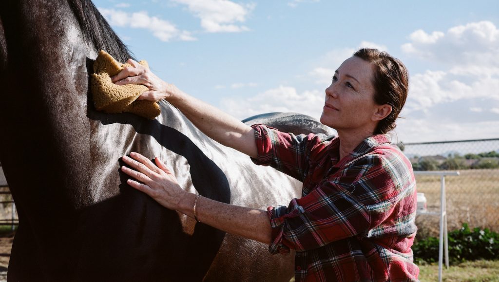 Molly Parker is Ruth Wilkes in "Jockey." Courtesy Sony Pictures Classics.
