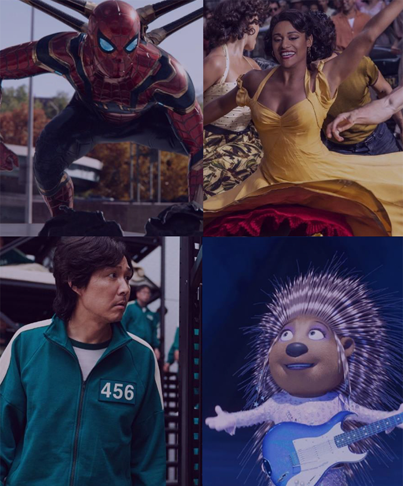 MPA 2021 THEME Report