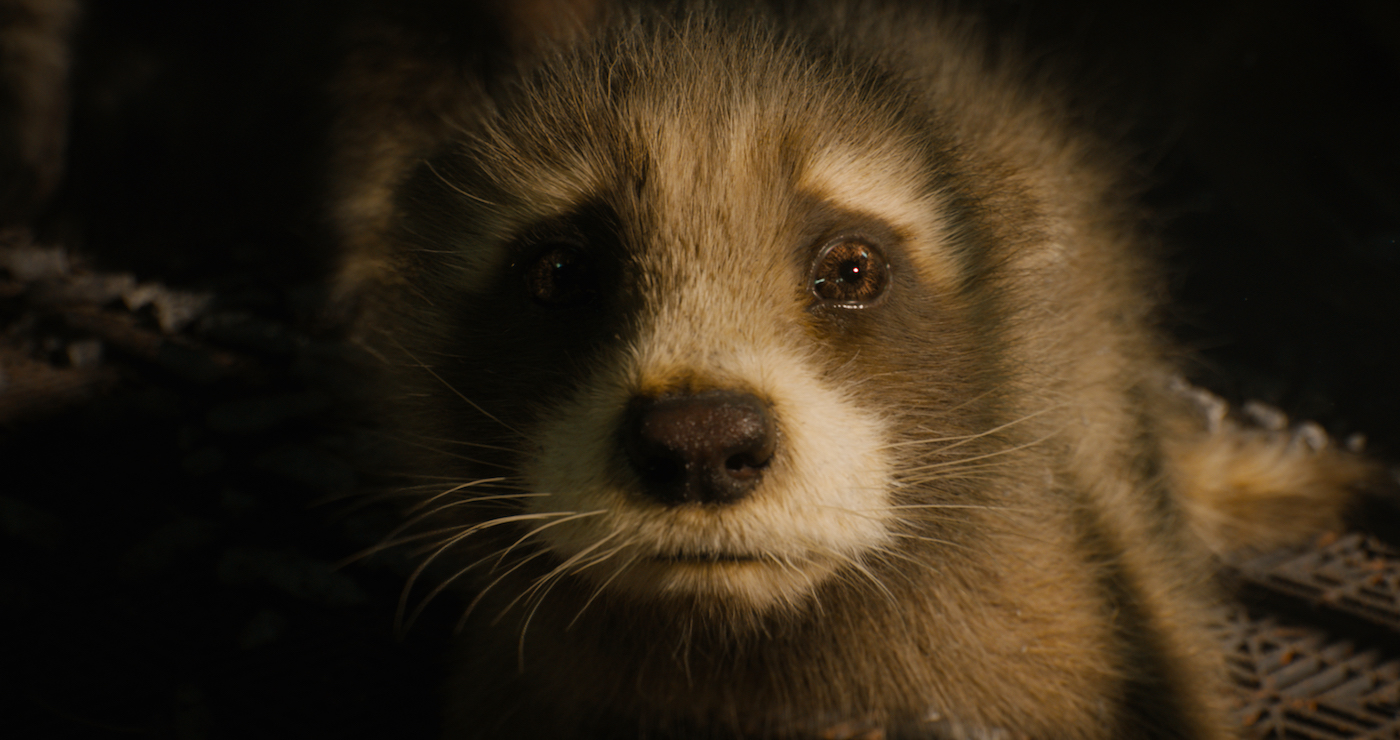 New Batch of "Guardians of the Galaxy Vol. 3" Images & Videos Tease