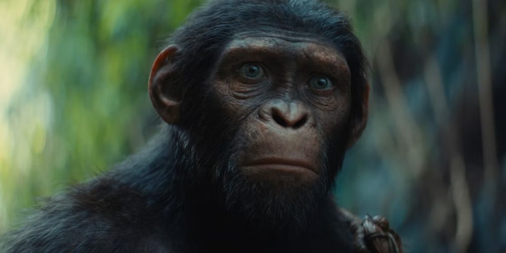 kingdom-of-the-planet-of-the-apes-social-feature copy 2